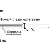 Kako uzgajati sadnice grožđa vlastitim rukama